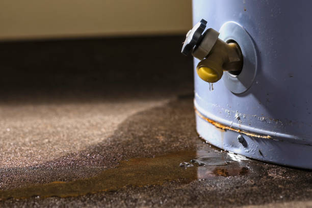 Best Sewage cleanup and water damage restoration  in Lakeville, MN