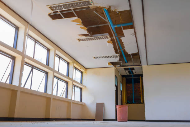 Water damage restoration mold remediation in MN
