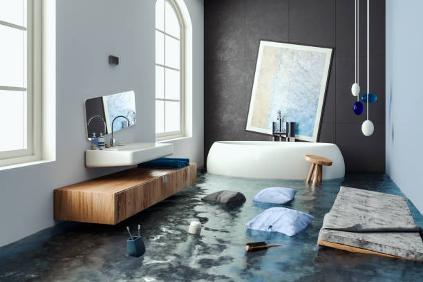 Best Flood restoration services  in Lakeville, MN