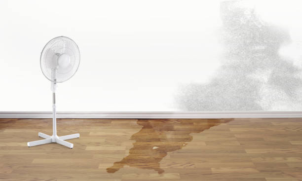 Best Flood restoration services  in Lakeville, MN