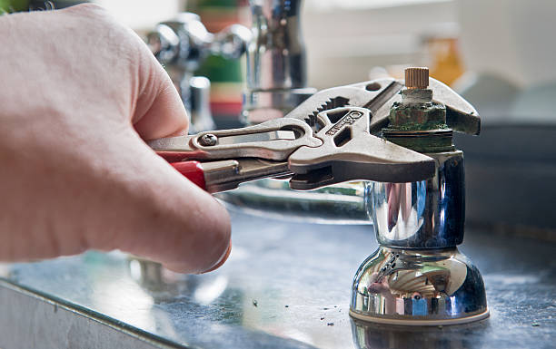 Best Mold removal after water damage  in Lakeville, MN