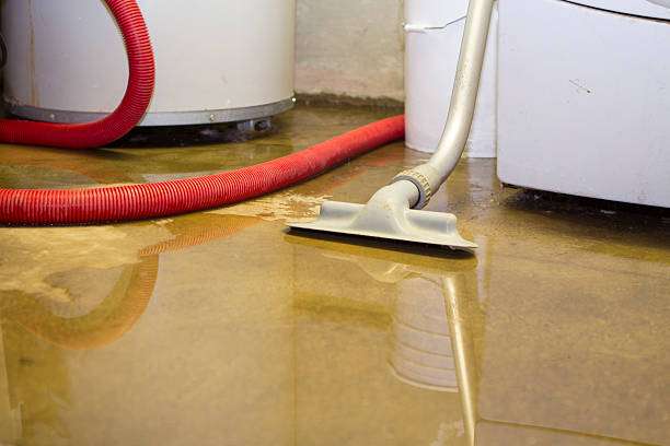 Best Flooded house restoration  in Lakeville, MN