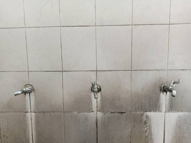 Best Ceiling water damage repair  in Lakeville, MN