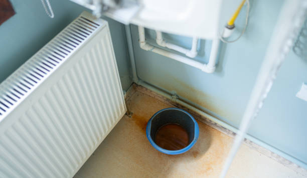 Best Water damage restoration near me  in Lakeville, MN