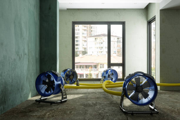 Best 24/7 water damage repair  in Lakeville, MN